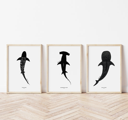 Shark Art Print Set