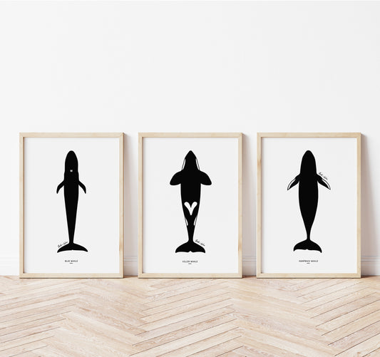Whale Art Print Set